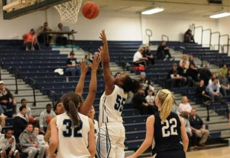 Beaver cruises past Mont Alto
