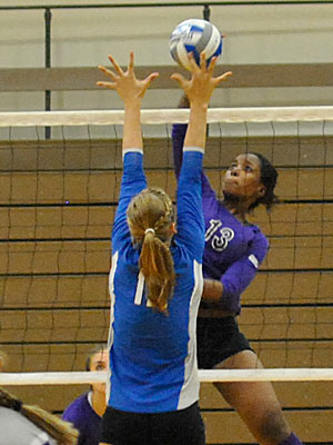 Lady Wildcats Extend Win Streak to Seven