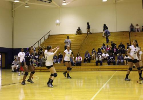 Women's Volleyball Comes Up Short in Hotly Contested PSUAC Opener