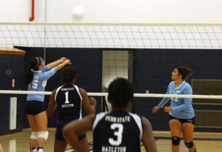 Beaver downs New Kensington
