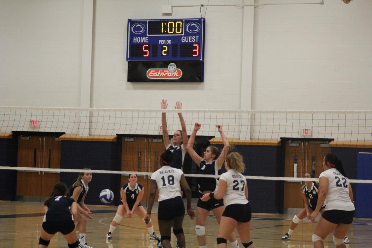 Women's volleyball wins against Schuylkill