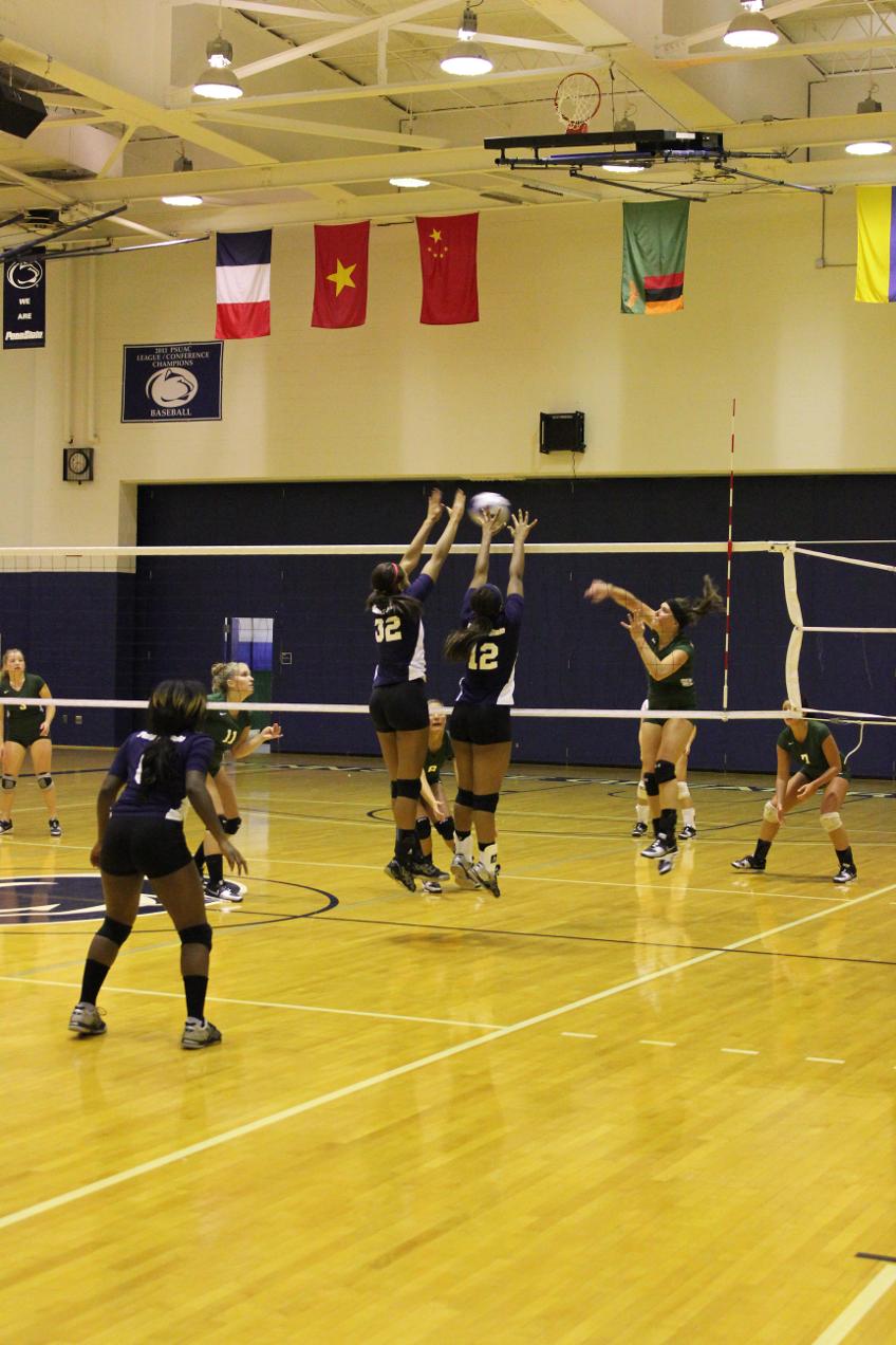 Greater Allegheny Volleyball Suffers in Close Battle over WCCC, 3-0